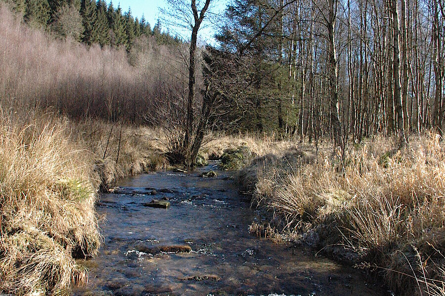 Fuhrtsbachtal © Biologische Station Städteregion Aachen e.V.
