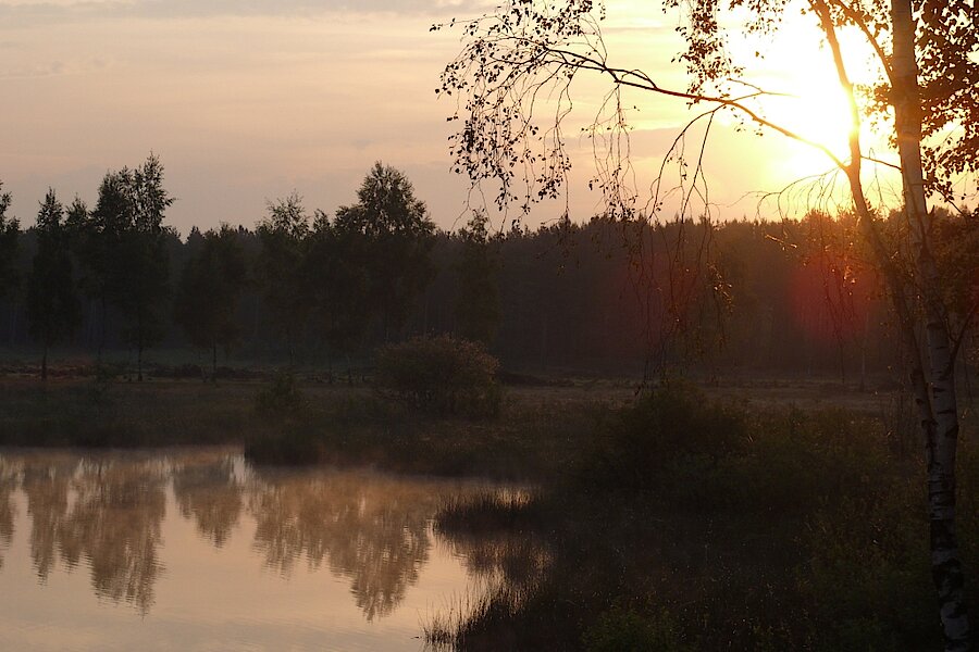 Teverener Heide See © Naturschutzstation Haus Wildenrath