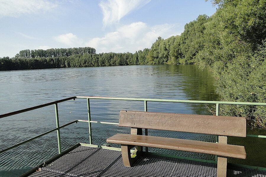 Aussichtsplattform mit Blick aus das Reeser Meer © Naturschutzzentrum im Kreis Kleve e.V.