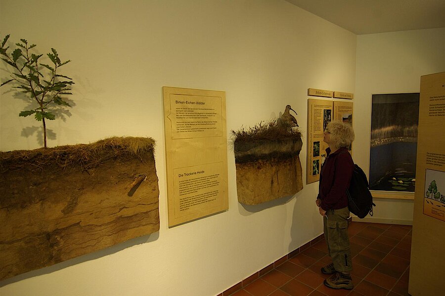 Ausstellung in der Station © Biologische Station Steinfurt e.V.
