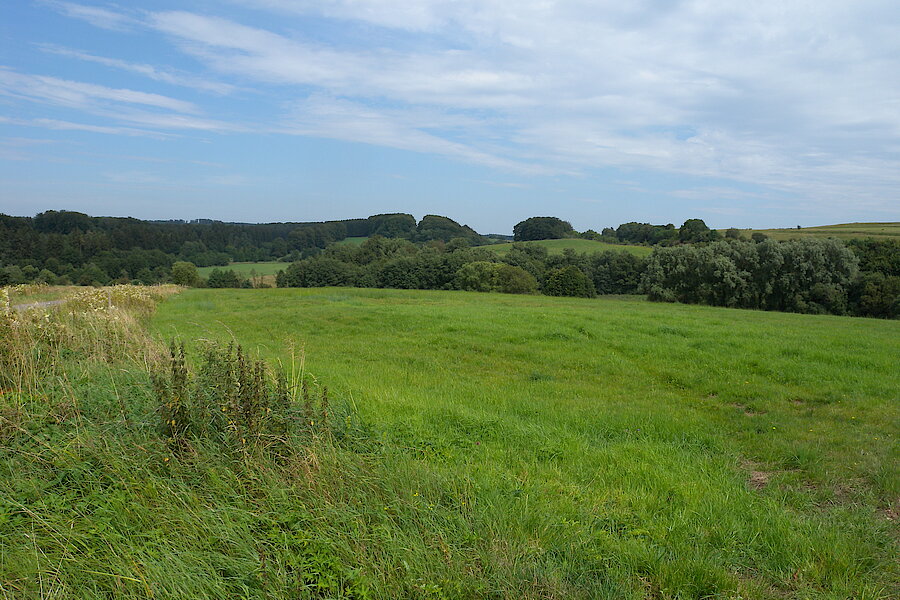 Haubachtal © Biologische Station im Kreis Euskirchen e.V.