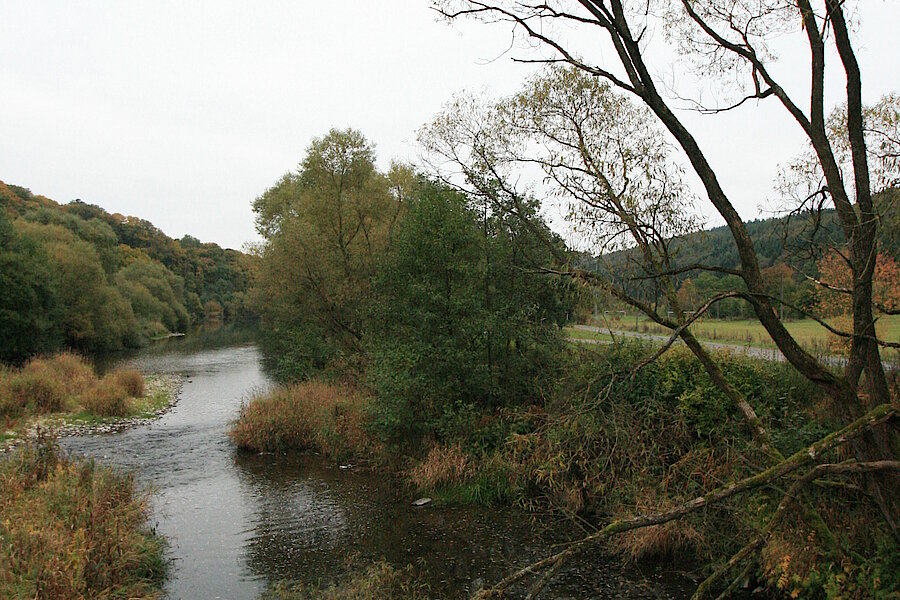 Naturnahe Eder © Regionalforstamt Siegen-Wittgenstein