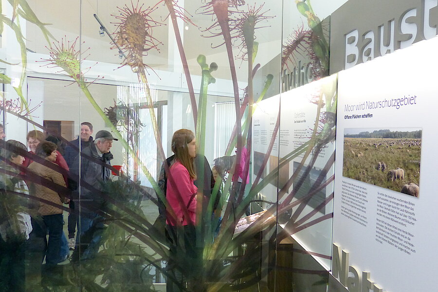 Ausstellung im Moorhus © NABU NRW