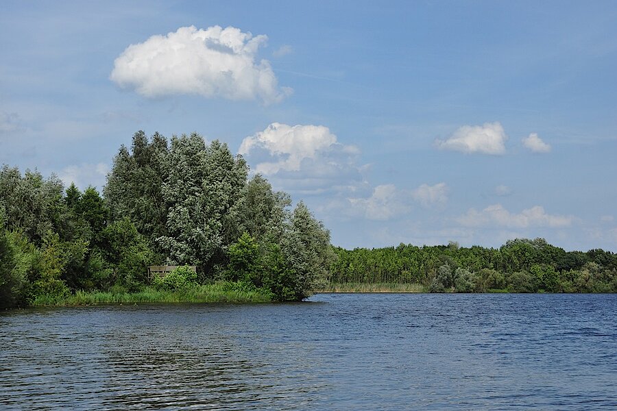 Blick über das Reeser Meer, auf eine der Aussichtskanzeln © Naturschutzzentrum im Kreis Kleve e.V.
