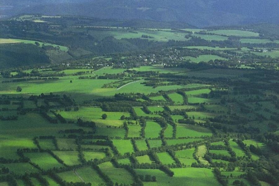 Flurheckenlandschaft © W. Schumacher