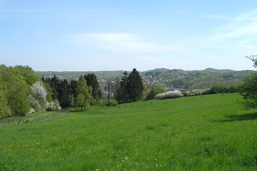 Grünland im Teutoburger Wald © Biologische Station Gütersloh-Bielefeld