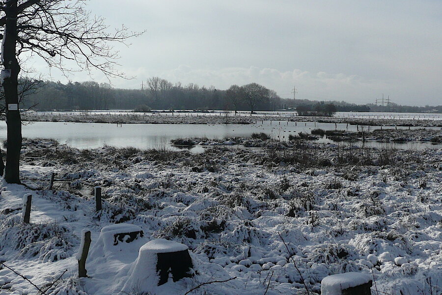 Winterlandschaft © Kreis Recklinghausen