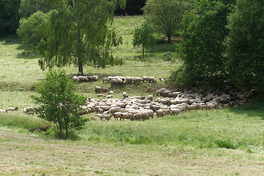Landschaftspfleger bei der Arbeit © Michael Gertz