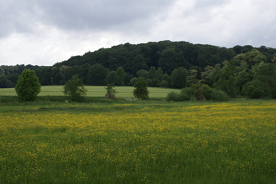 Im Rotthäuser Bachtal © NaturFreunde Düsseldorf e.V.
