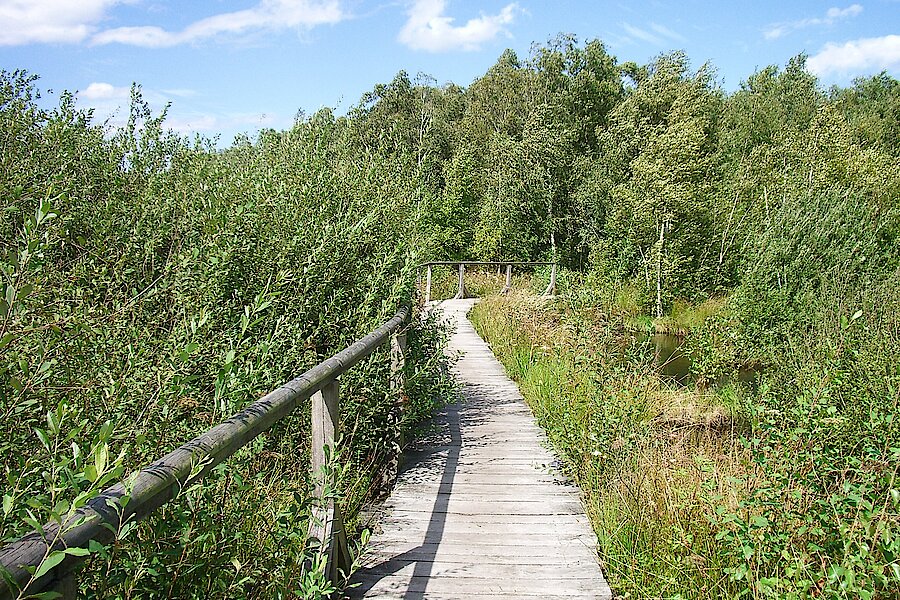 Fußweg durch das Moor © Thorsten Wiegers