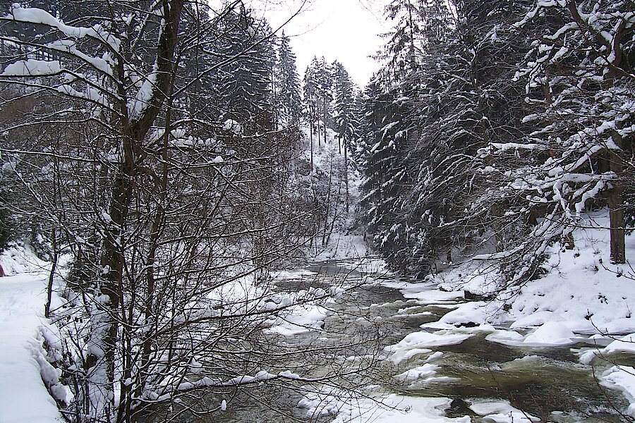 Wintereindruck © Biologische Station Städteregion Aachen e.V.