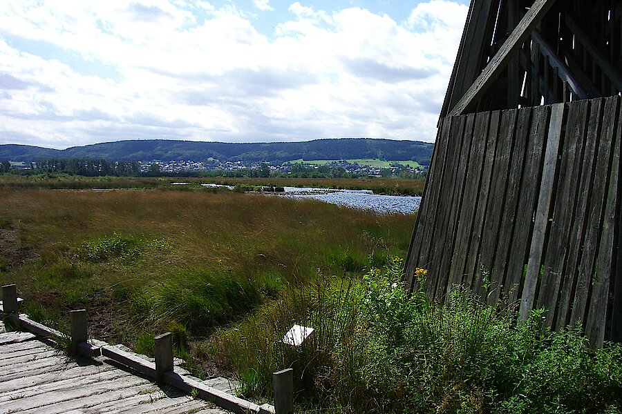 Blick vom Moorhus ins Moor © Thorsten Wiegers
