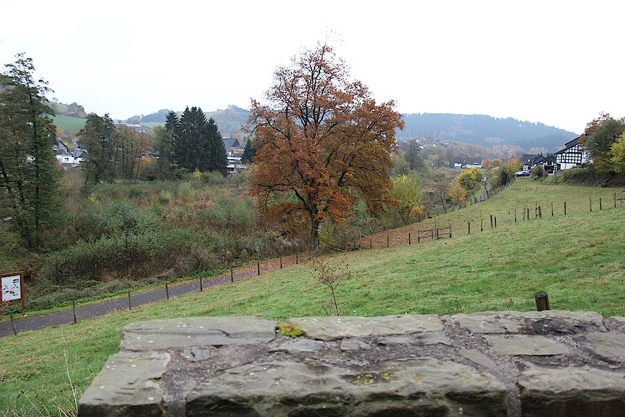 Blick auf Wenholthausen und die Wenneaue © Michaela Fedeli