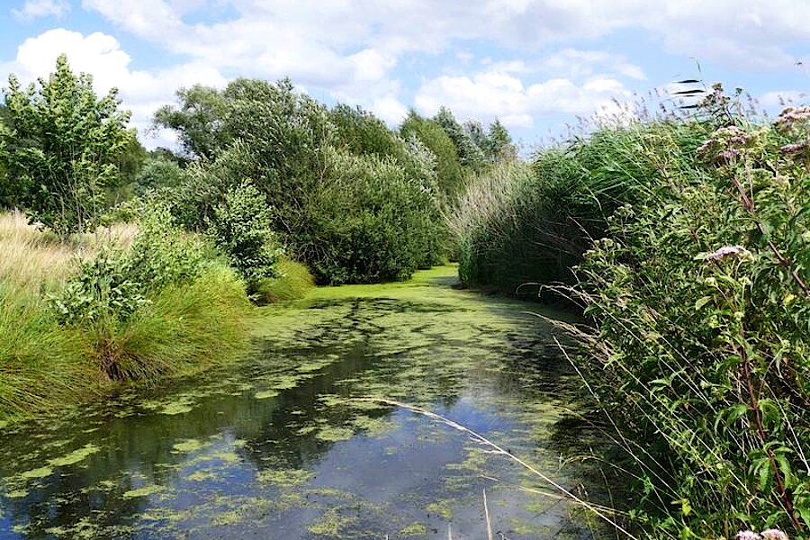 Wassergraben © Martin Schlüpmann