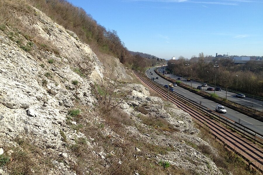 Kalkfelsen mit Stadtautobahn © Biologische Station Gütersloh-Bielefeld