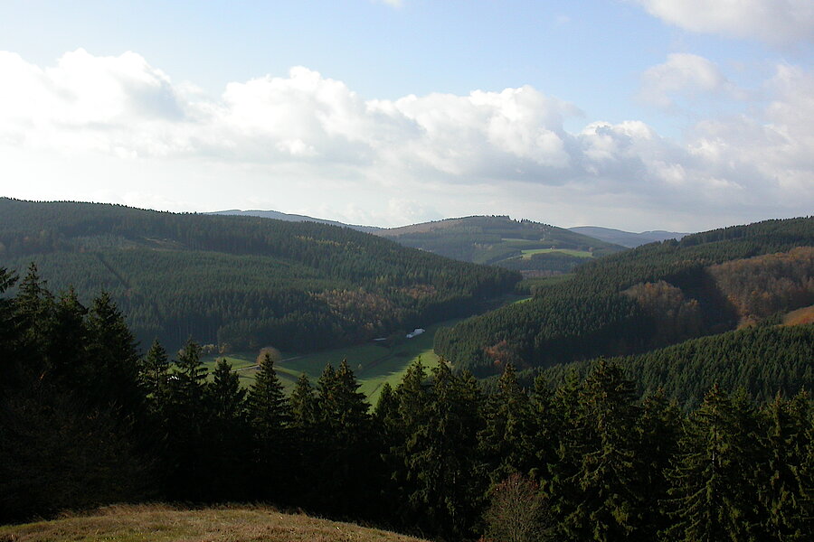 Blick vom Hilmesberg über das Liesetal © Biologische Station HSK