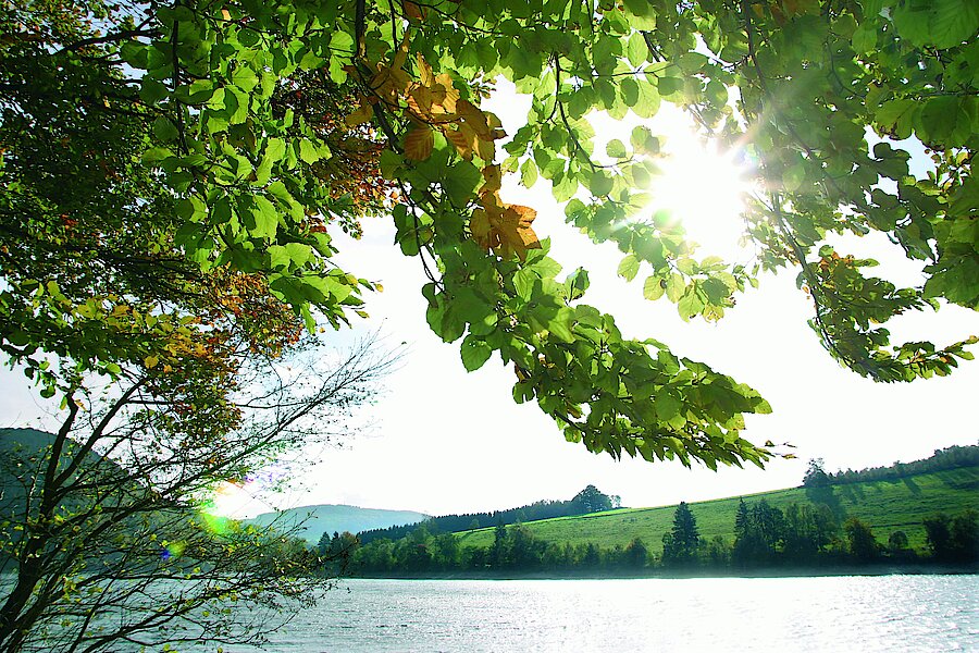 Blick auf den Diemelsee © Naturpark Diemelsee