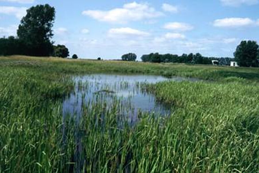 Artenreiche Natur © Biologische Station Minden-Lübbecke